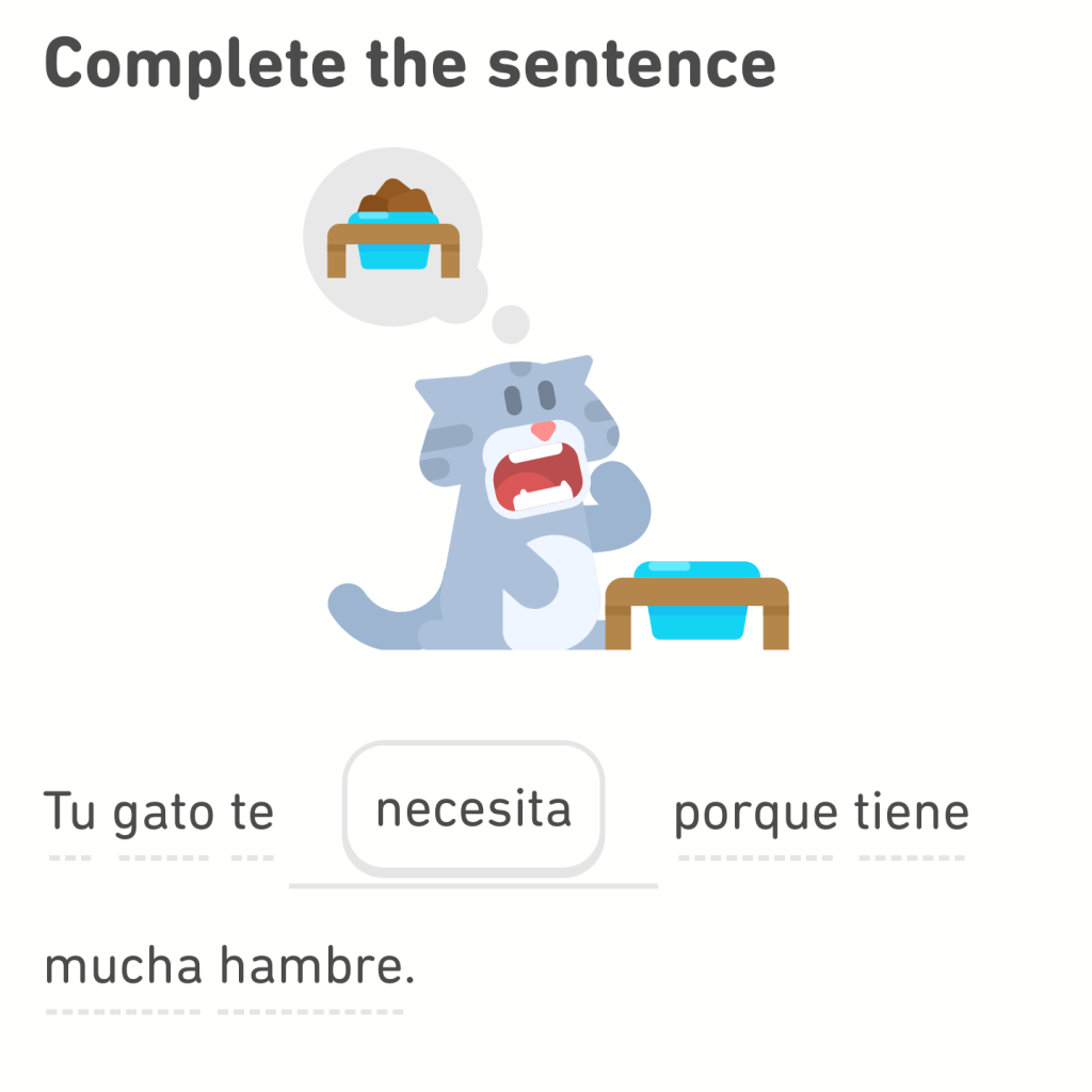Duolingo: "Tu gato te necesita porque tiene mucha hambre." Un gato de dibujos animados señala un plato de comida vacío y su boca.